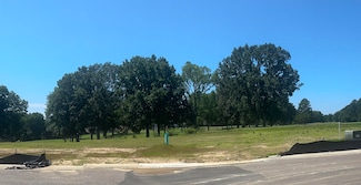 8599 Geiberger Dr, Memphis, TN 38016