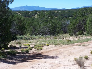 744 Clements A-072 S, McIntosh, NM 87032
