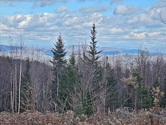 706 Vt Route 100, Stratton, VT 05360