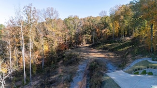 8024 Eagle Crest Ln, Shelby, AL 35242