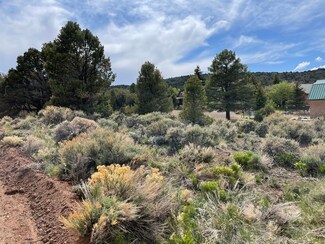 LOT C-70 Carter Cir, Pine Valley, UT 84781