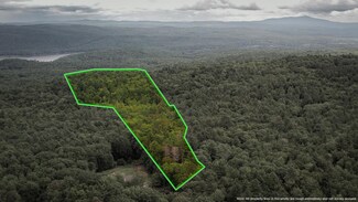 Lot 90 Mine Ledge Rd, Surry, NH 03431