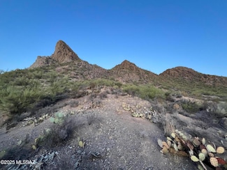 5322 S Camino de La Tierra Unit 2, Tucson, AZ 85746
