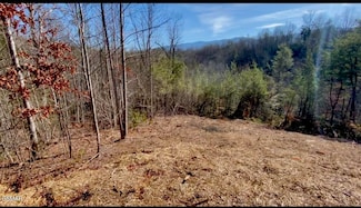 Lot 34 Pinnacle Vista Rd, Pittman Center, TN 37738
