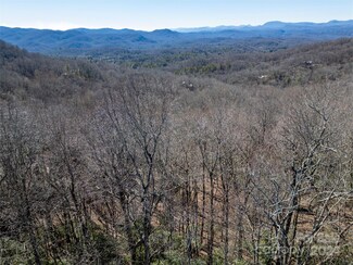 TBD Connestee Trail Unit L31/U01, Brevard, NC 28712
