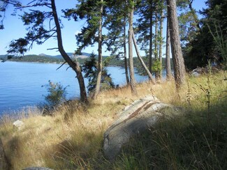 8 Circle, Crane Island, WA 98243