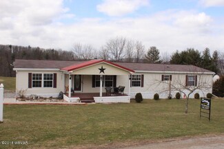 45 N Shaffer Hill Rd, Cogan Station, PA 17728