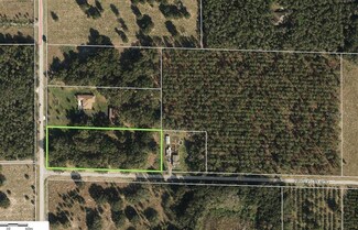 xx Dora Dr, Mount Dora, FL 32757