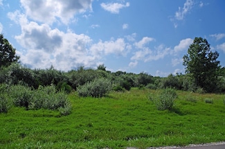 321 Kitson Rd, Winfield, MO 63389