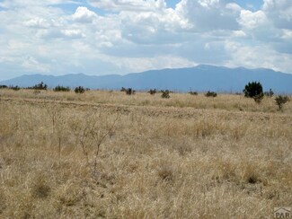 Lot 4 Cedarwood Station, Rye, CO 81069