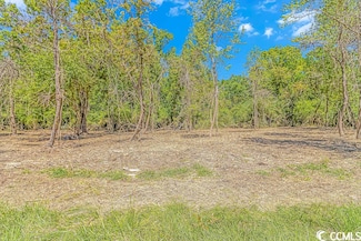 TBD Tranquil Rd Unit Lot 6, Conway, SC 29527