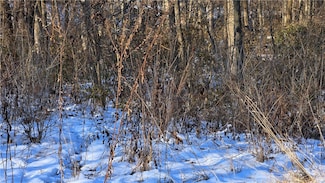 0 Sec 23-7-3e N10a Nw NE Unit 6256312, Saint Elmo, IL 62458