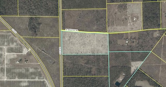 SE County Road 255th, Lee, FL 32059