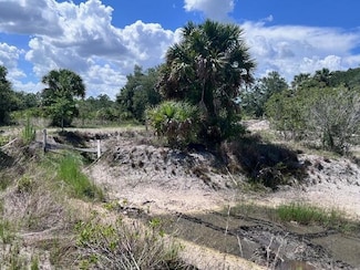 15731 NW 296th St, Okeechobee, FL 34972