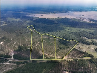 0 Farm To Market 92, Colmesneil, TX 75938