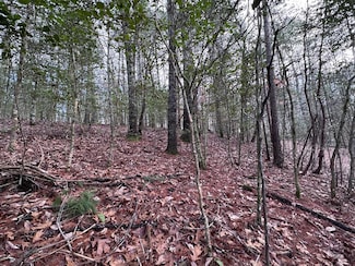 Lot 27 Appalachian Estates Rd, Murphy, NC 28906