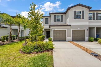 23350 Papyrus Way, Lutz, FL 33549