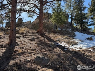 345 Green Pine Ct, Estes Park, CO 80517