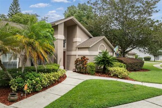 12802 Wallingford Dr, Tampa, FL 33624