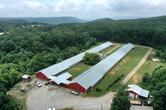 767 Rigsby Gap Rd, Pikeville, TN 37367