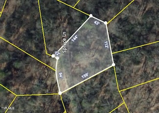 108 Spruce Ln, Beech Mountain, NC 28604
