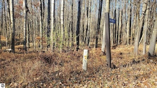 8122 Highland Trail Unit 240, Canadian Lakes, MI 49346