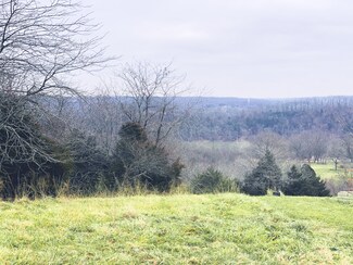 Lot 166 Hannah Cir, Washington Township, MO 65624
