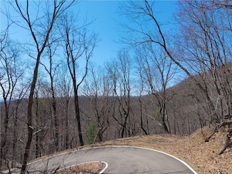 376 Deer Run Ridge, Big Canoe, GA 30143