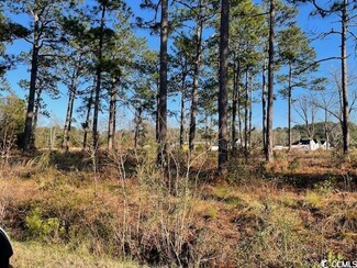 1388 Red Bluff Rd, Loris, SC 29569