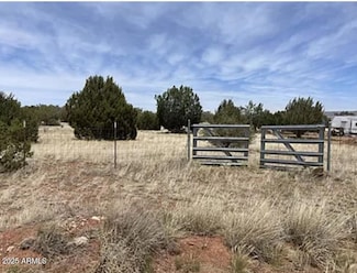 30386 W Basconia Rd Unit 4394, Seligman, AZ 86337