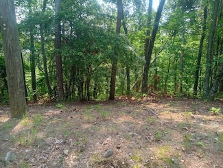 Lt 1227 Hilton Dr, Ranger, GA 30734