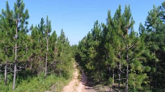 0 Guy Rd, Petrey, AL 36049
