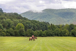 41 News Rd, Eagle Rock, VA 24085