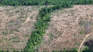 Parish Road 479 Lot Unit Wp001, Chatham, LA 71226