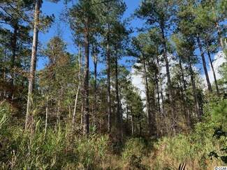 64 Witherspoon St, Kingstree, SC 29556