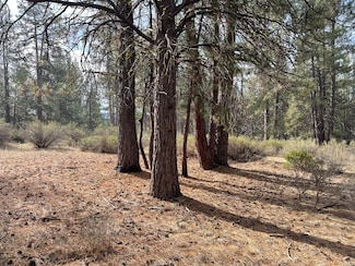0 S Waterview Way Unit Lot 6 220182961, Chiloquin, OR 97624