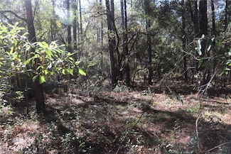 00 SW 39th St, Dunnellon, FL 34432