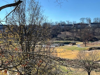 2700 Green Mountain Dr Unit 4-4, Branson, MO 65616