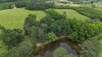 1148 County Road 865, Collinsville, AL 35961