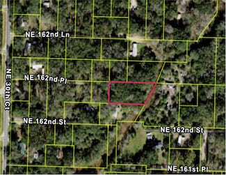 3198 NE 162nd Place, Citra, FL 32113