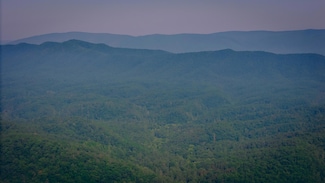 0 Sugar Tree Hollow Rd, Eagle Rock, VA 24085