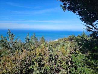 286 Blueridge Rd, Whitethorn, CA 95589