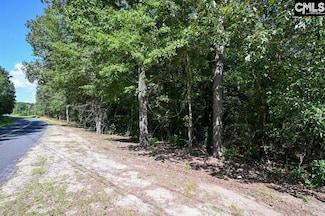 681 New Hope Rd, Orangeburg, SC 29118