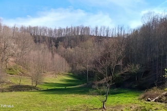 Tbd Lane Miller Rd, Trade, TN 37691