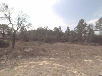 6632 N Sand Dr, Pine Ridge, FL 34433