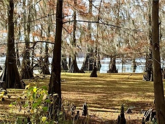 0 Hardwater Lake Rd, Pollock, LA 71467