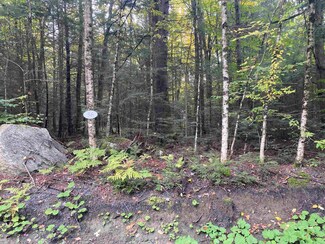 56 Longwood Dr, Grantham, NH 03753