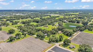 1309 Joe McIntosh Rd, Plant City, FL 33565