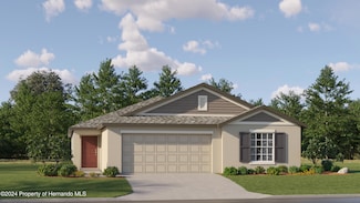 10258 Gentle Rain Dr, Land O' Lakes, FL 34638