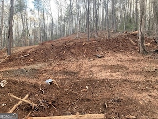 0 Beaver Ln Unit 10460956, Dahlonega, GA 30533